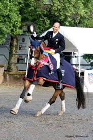 Steffen Peters                                                                  